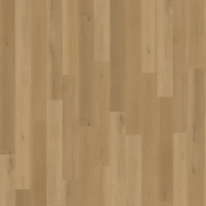 Belakos Borgo 320 | Rigid Click