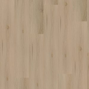 Hoomline Ambassador Dryback Maryland 31