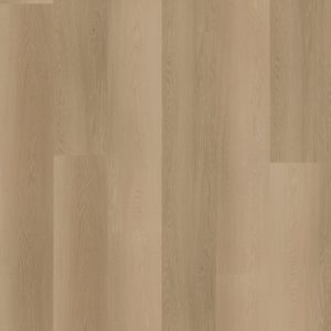 Hoomline Ambassador Dryback Vermont 12