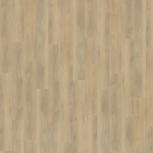 Belakos Palazzo 720 | Rigid Click