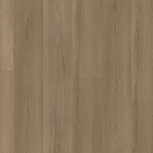 Ambiant Soleno dryback dark oak