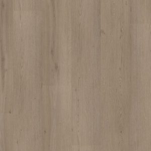 Ambiant Venera dryback smoky
