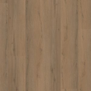 Ambiant Venera dryback dark oak